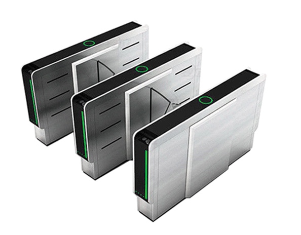FLAP GATES